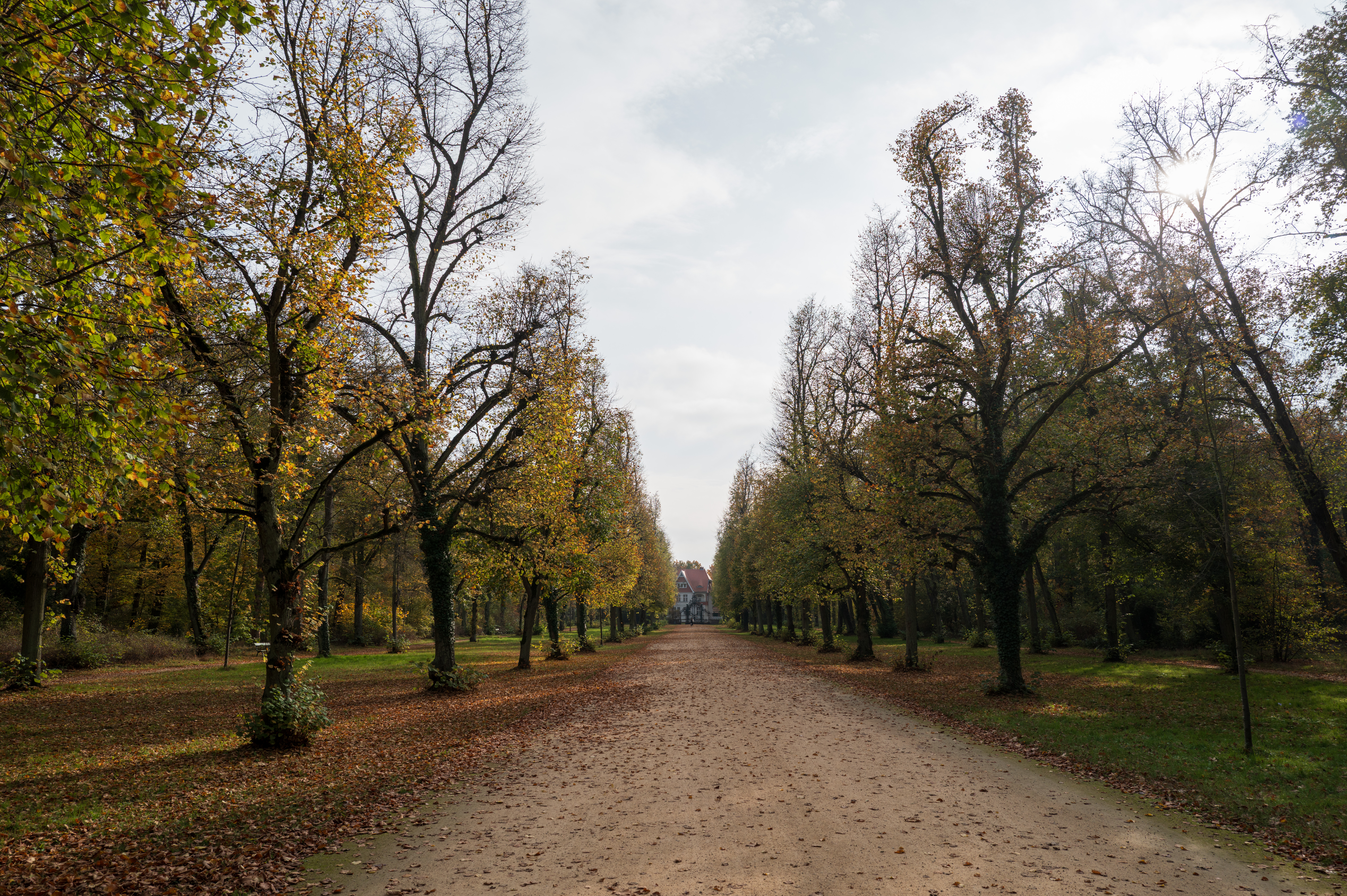 2025 Oktober - Sanssouci im Herbst